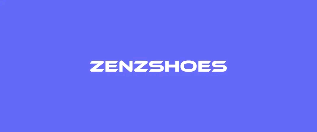 Zenz Cleaning Shoes